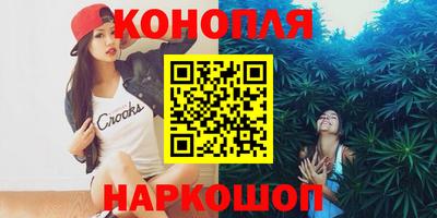 сатива Гай