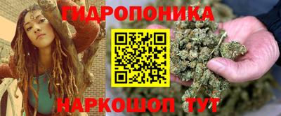 сатива Гай