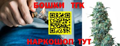 сатива Гай