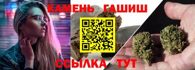 сатива Гай