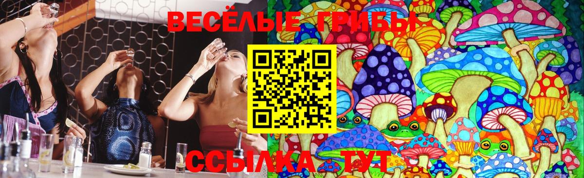 Кувандык  Галлюциногенные грибы Cubensis  что такое   Вход с VPN  Галлюциногенные грибы GOLDEN TEACHER 