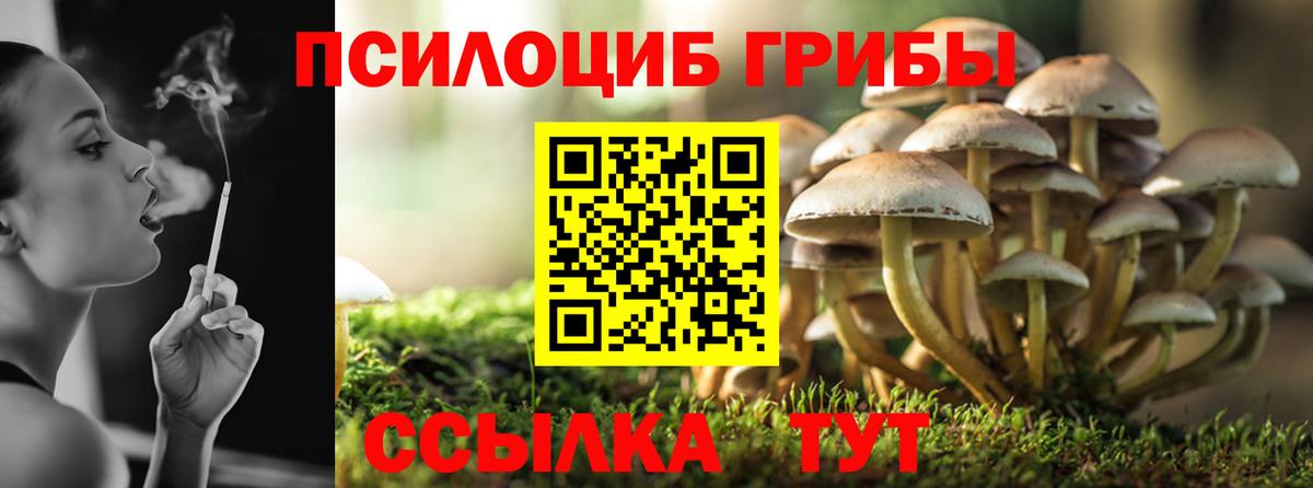 Псилоцибиновые грибы Psilocybine cubensis Кувандык